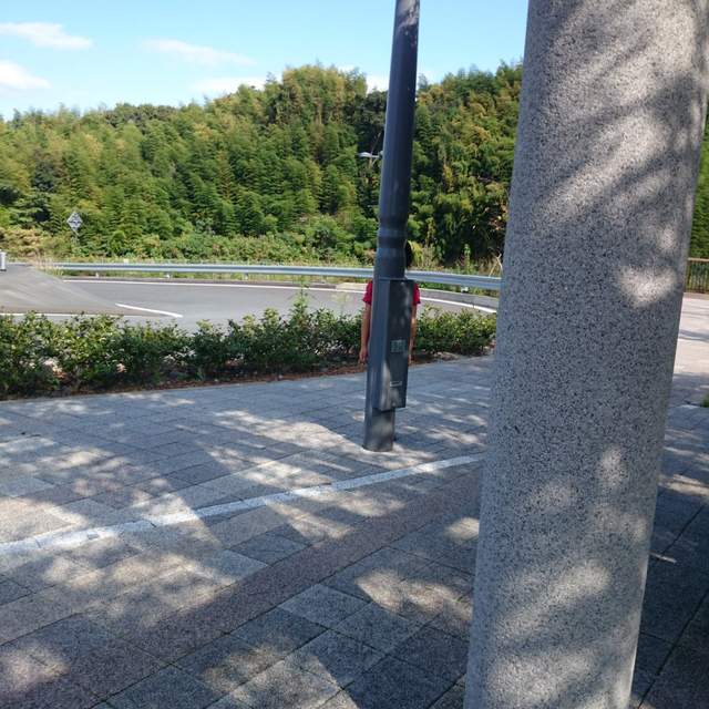 圖片11 圖片11