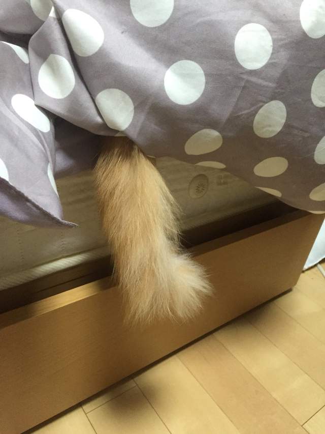 圖片21 圖片21