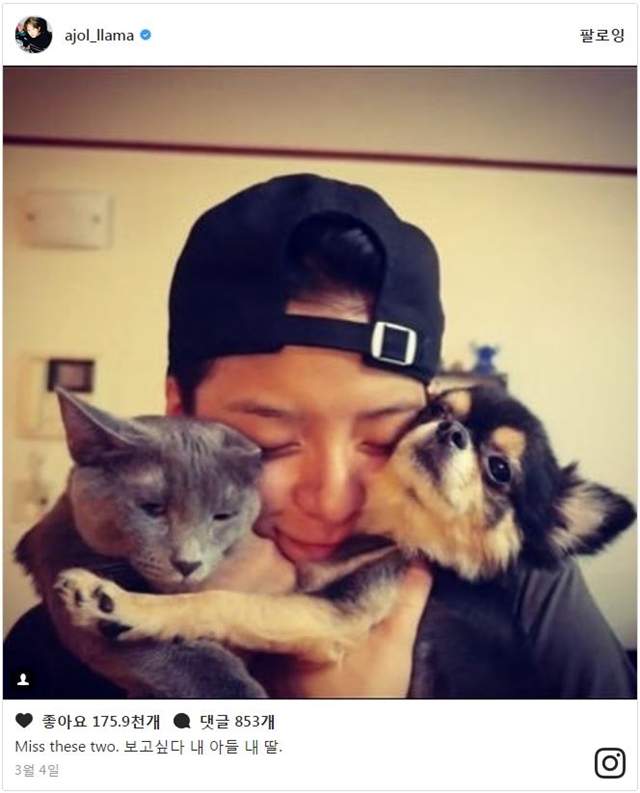 圖片5 圖片5