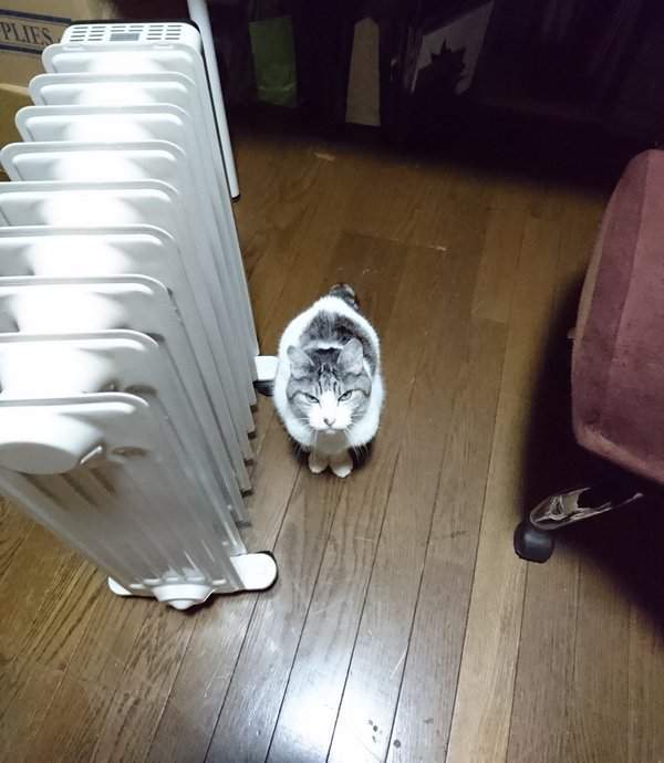 圖片4 圖片4