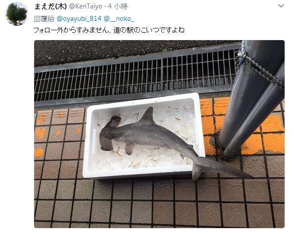 圖片12 圖片12