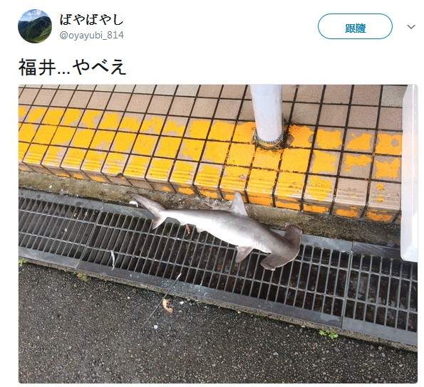 圖片4 圖片4