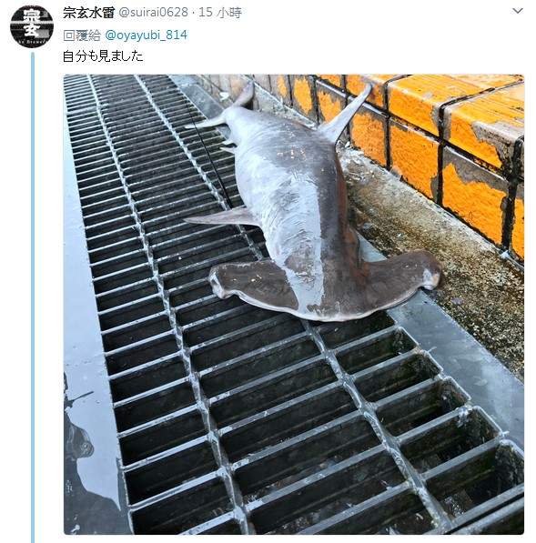圖片6 圖片6