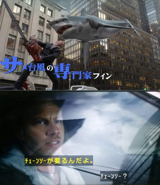 圖片11 圖片11