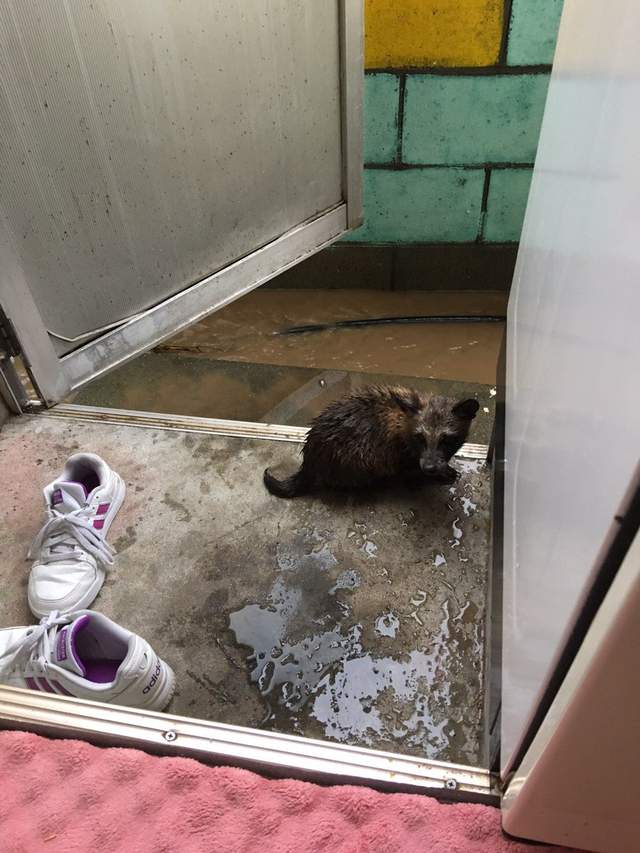 圖片7 圖片7