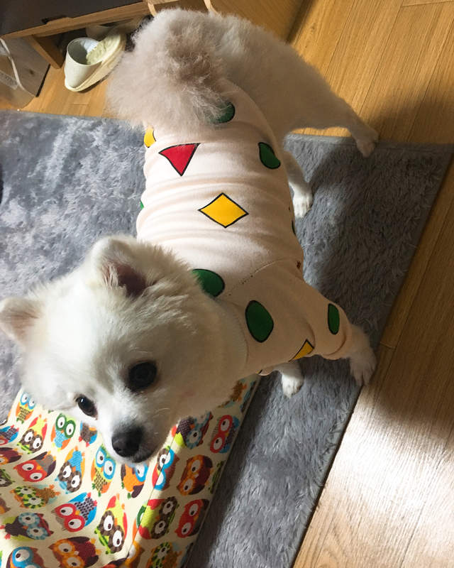 圖片9 圖片9