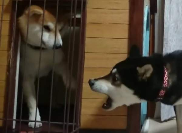 圖片8 圖片8