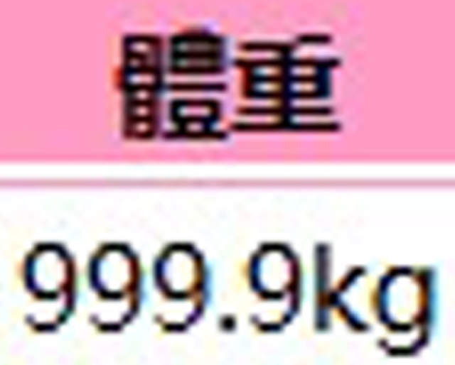 圖片13 圖片13