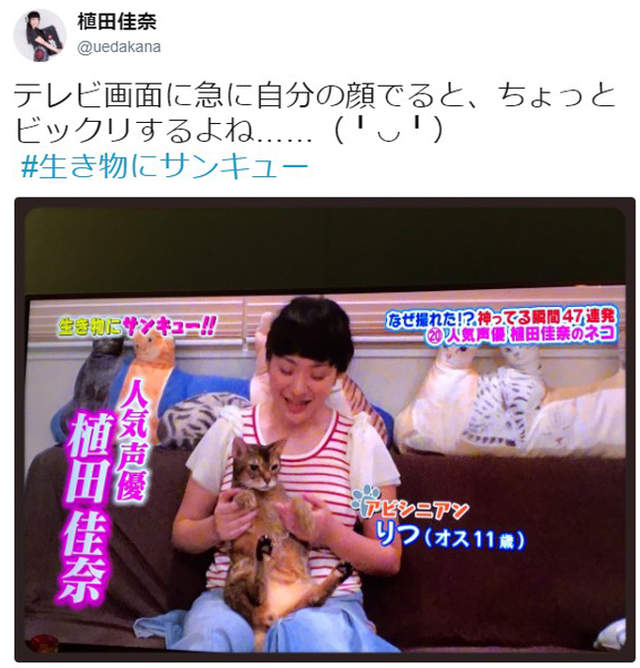 圖片21 圖片21