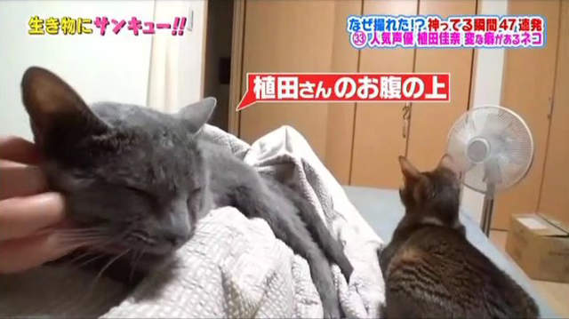 圖片13 圖片13