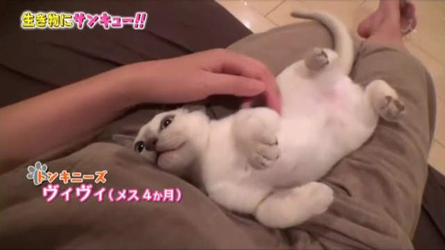 圖片5 圖片5
