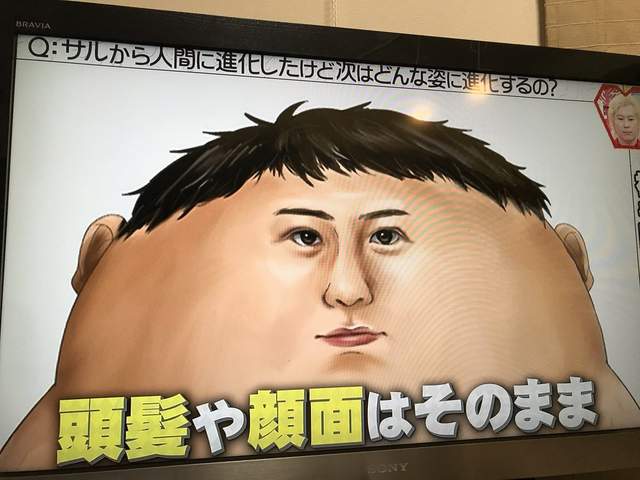 圖片5 圖片5