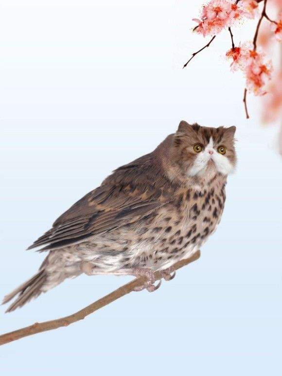 圖片4 圖片4