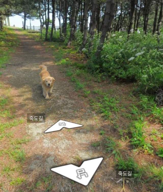 圖片5 圖片5