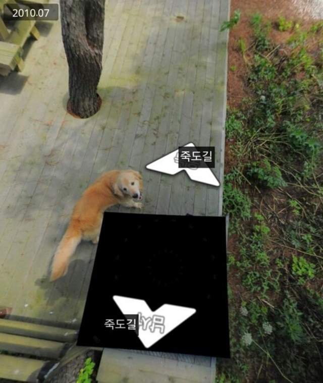 圖片8 圖片8