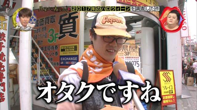 圖片11 圖片11