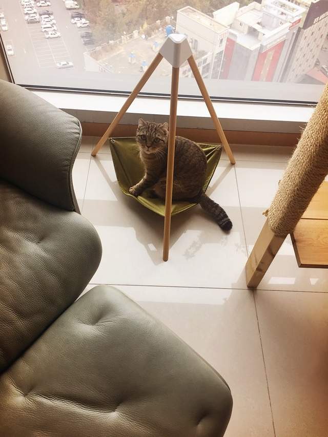 圖片11 圖片11
