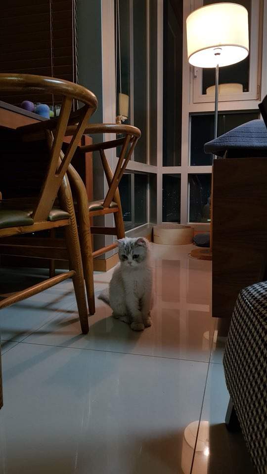 圖片6 圖片6