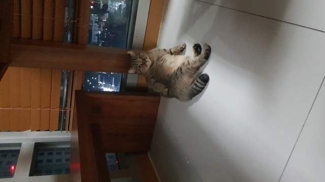 圖片8 圖片8