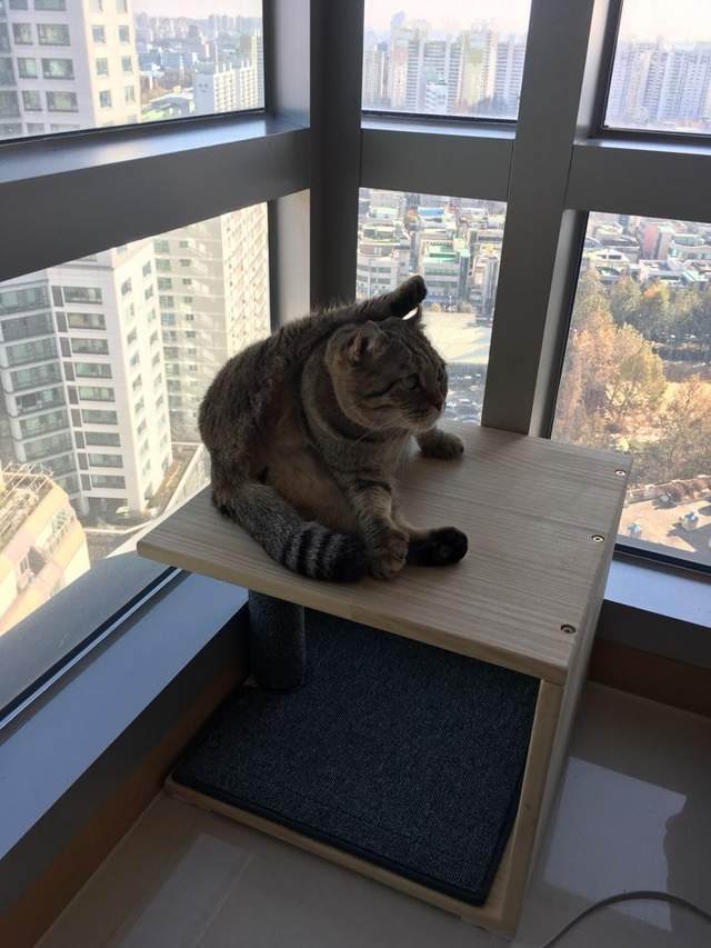 圖片7 圖片7
