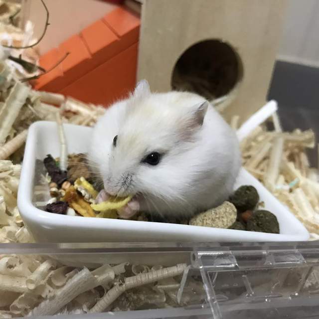 圖片5 圖片5