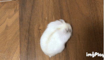 圖片6 圖片6