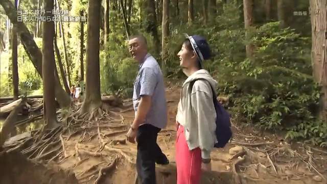 圖片17 圖片17