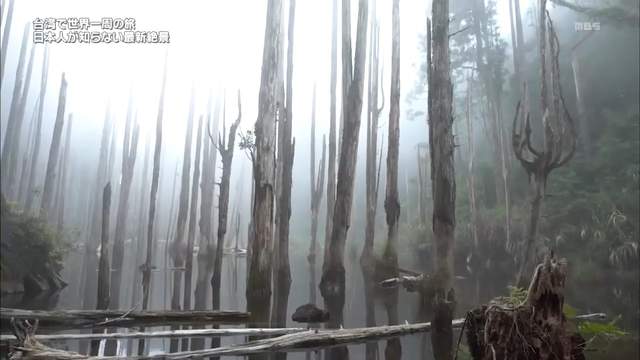 圖片19 圖片19