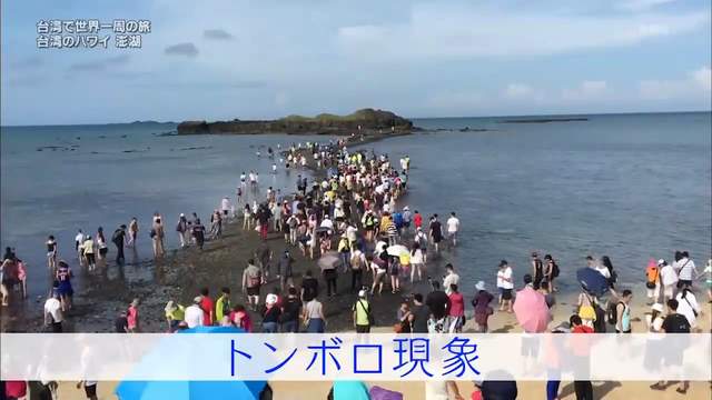 圖片39 圖片39