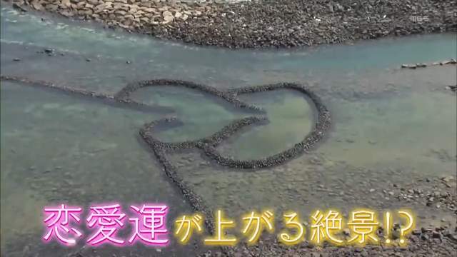 圖片51 圖片51