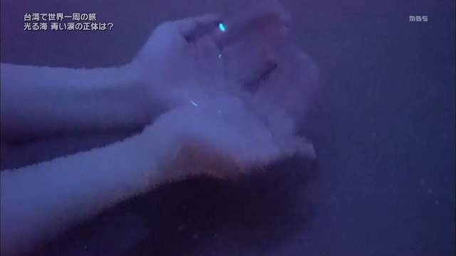 圖片67 圖片67