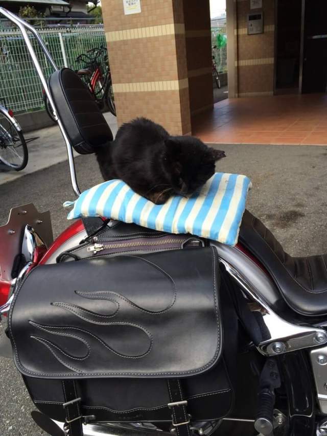 圖片8 圖片8