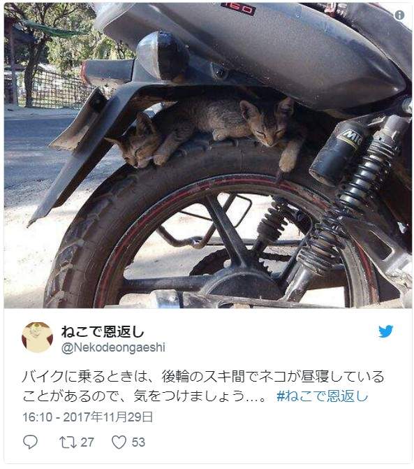 圖片11 圖片11