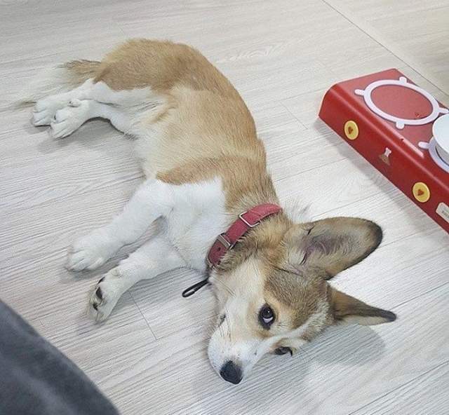 圖片5 圖片5