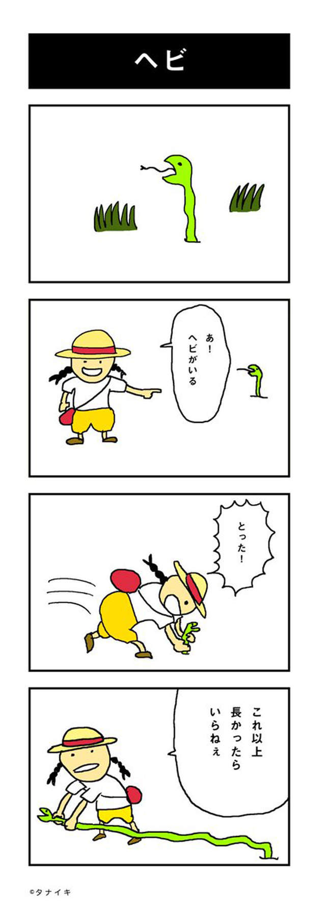 圖片11 圖片11
