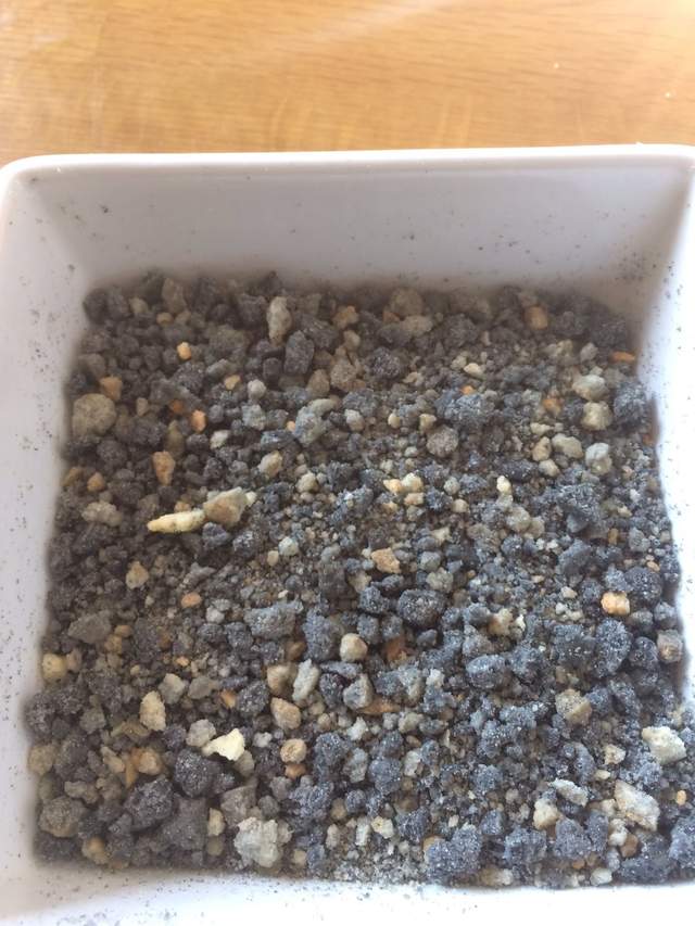 圖片7 圖片7