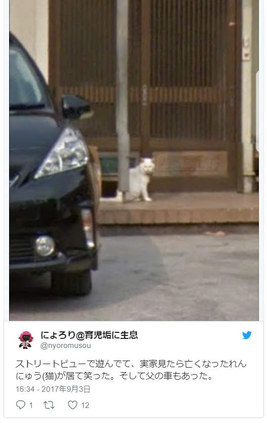 圖片10 圖片10