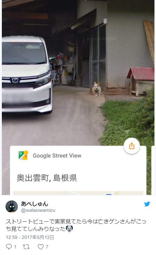 圖片11 圖片11