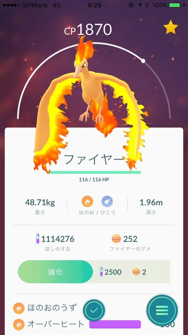 圖片7 圖片7