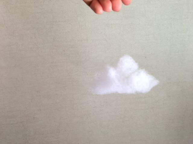圖片11 圖片11