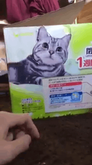 圖片8 圖片8