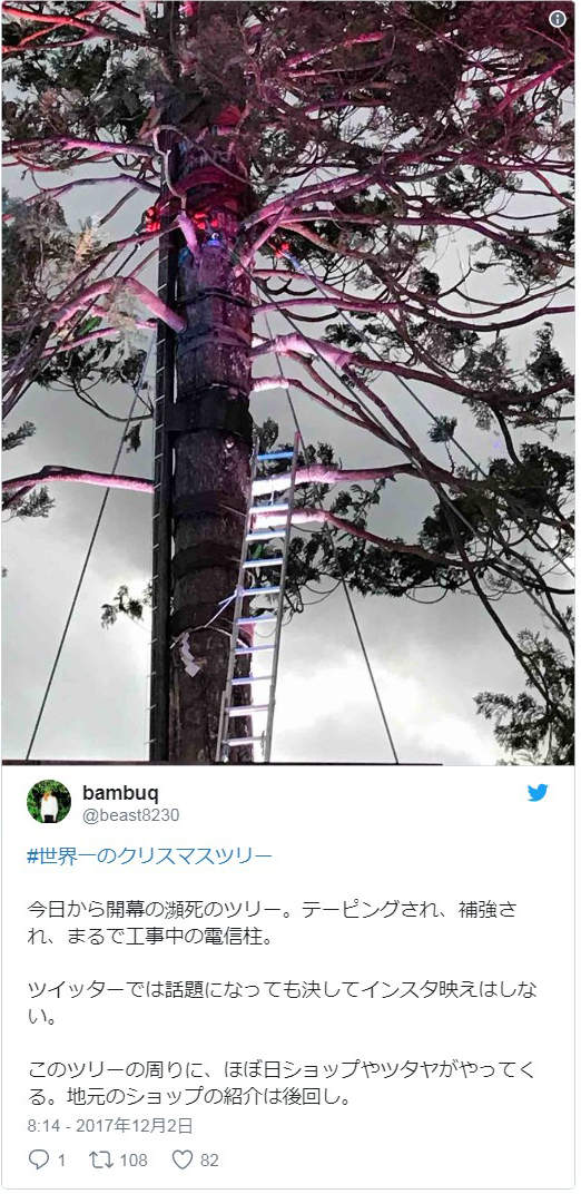 圖片7 圖片7