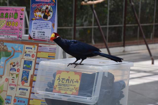 圖片8 圖片8