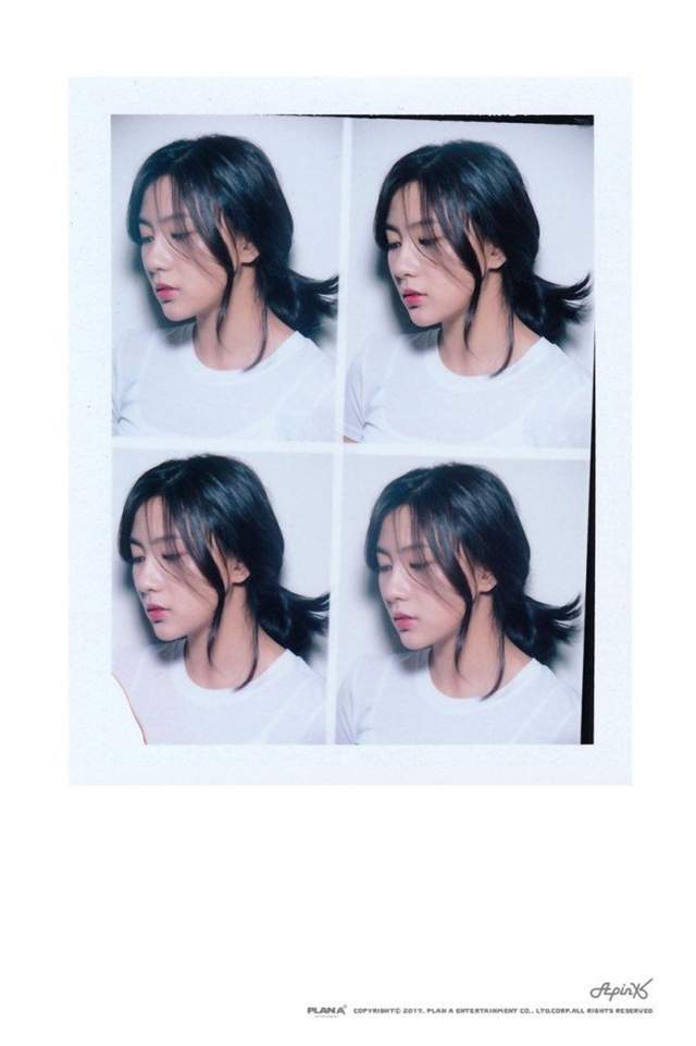 圖片5 圖片5