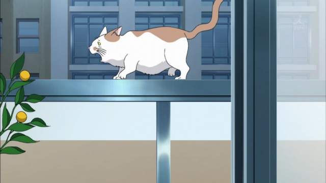 圖片4 圖片4