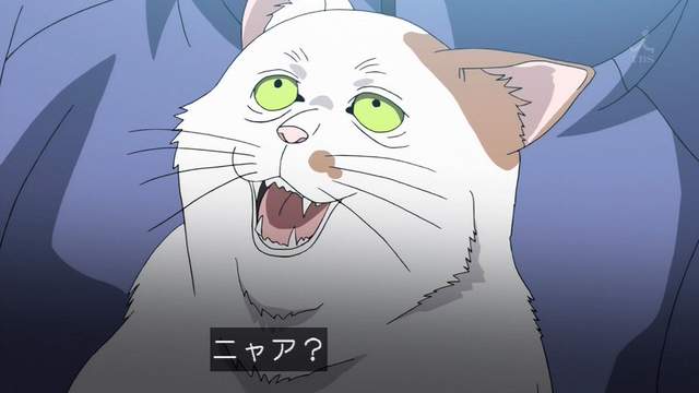 圖片5 圖片5