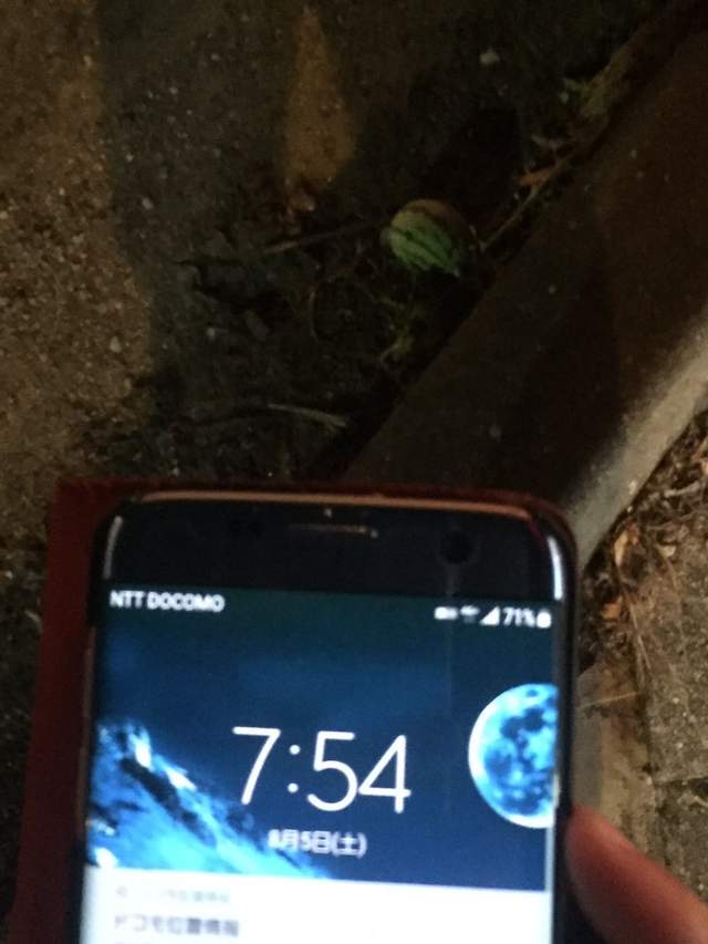 圖片8 圖片8