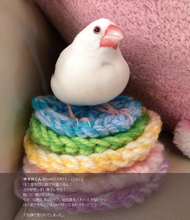 圖片5 圖片5