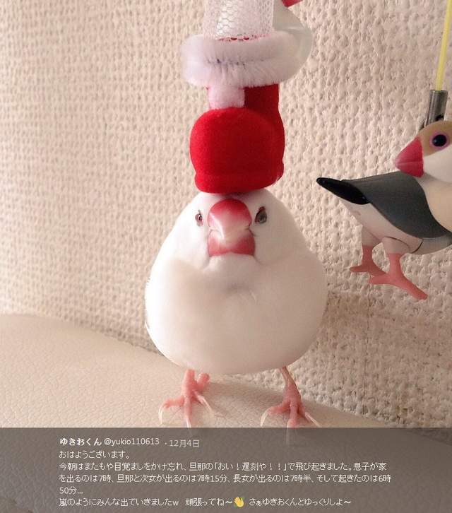 圖片6 圖片6