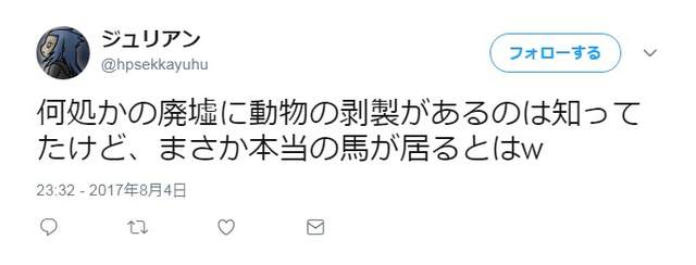 圖片11 圖片11